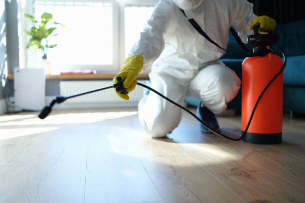 Reliable Sewage Cleanup contractor in Brownsville, OR by Trauma Clean Pros